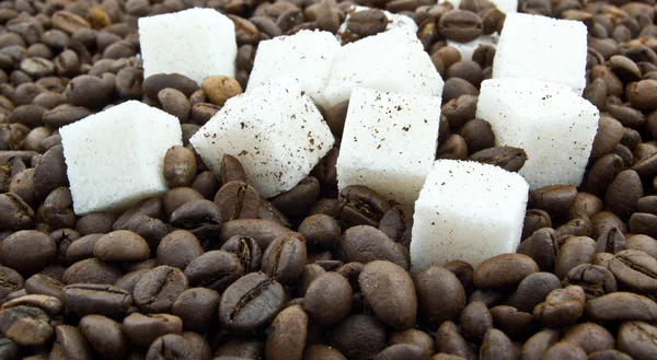 Coffee beans, 	   lump sugar and ground coffee — Stock Photo, Image